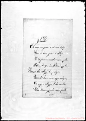 Fotogramma C 11