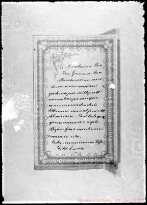 Fotogramma C 3