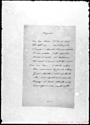 Fotogramma B 2