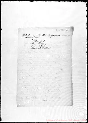 Fotogramma C 1