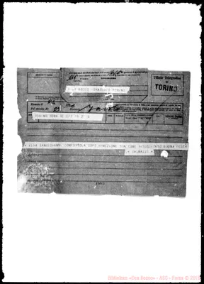 Fotogramma C 3