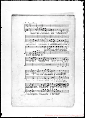 Fotogramma D 11