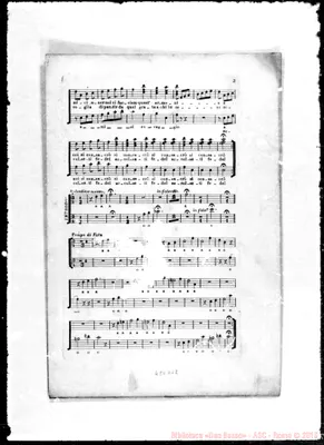 Fotogramma D 12
