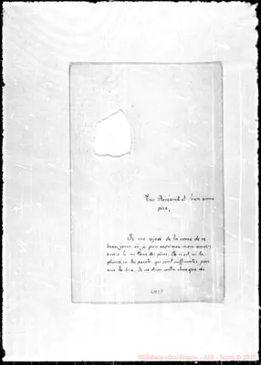 Fotogramma E 8