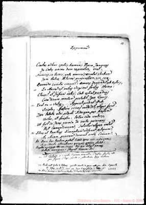 Fotogramma C 1