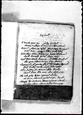 Fotogramma C 3