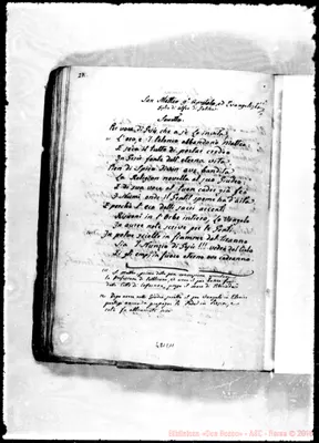 Fotogramma C 11