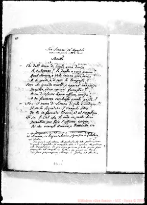 Fotogramma D 1