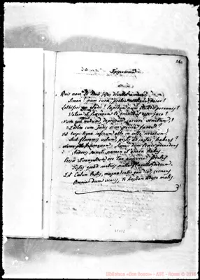 Fotogramma D 2