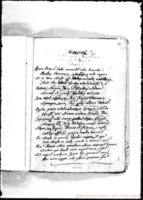 Fotogramma D 12