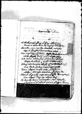 Fotogramma E 2
