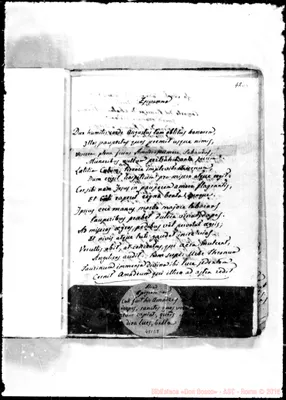 Fotogramma E 8