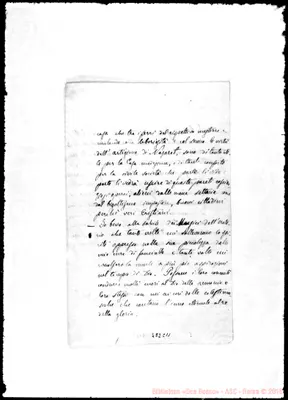 Fotogramma C 11