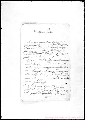 Fotogramma C 11