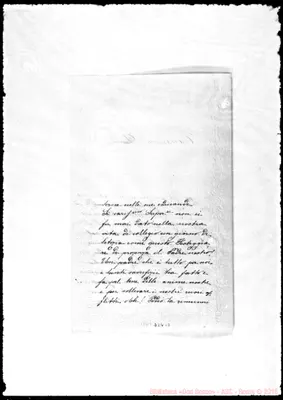 Fotogramma D 2