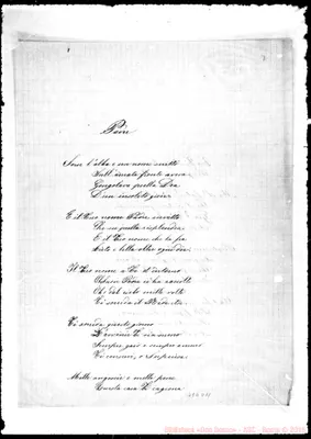 Fotogramma D 11