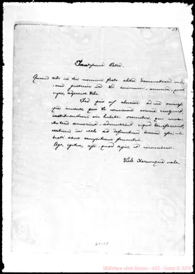 Fotogramma D 8
