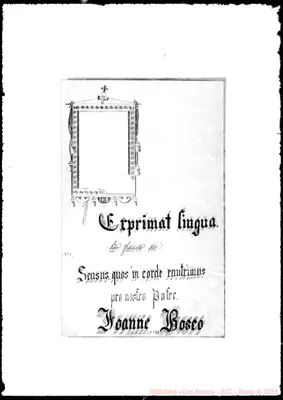 Fotogramma E 8