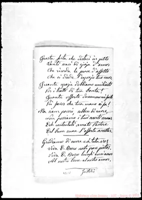 Fotogramma C 8