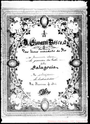 Fotogramma D 4
