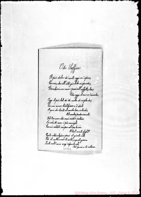 Fotogramma D 6