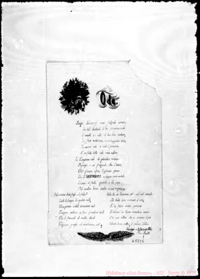 Fotogramma C 6