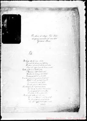 Fotogramma C 7