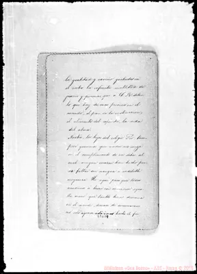 Fotogramma D 9