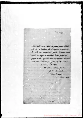 Fotogramma B 5
