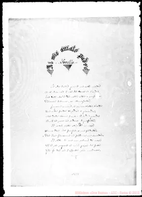 Fotogramma D 1