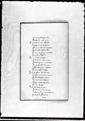 Fotogramma D 6