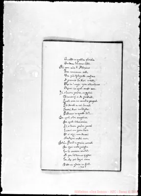 Fotogramma D 7