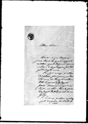 Fotogramma E 8