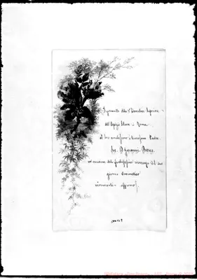 Fotogramma B 9