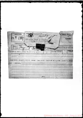 Fotogramma D 3