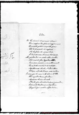Fotogramma D 11