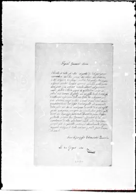 Fotogramma D 11