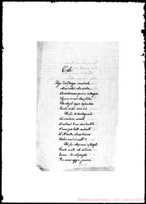 Fotogramma B 8