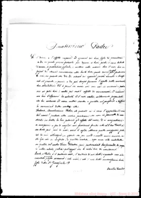 Fotogramma C 8