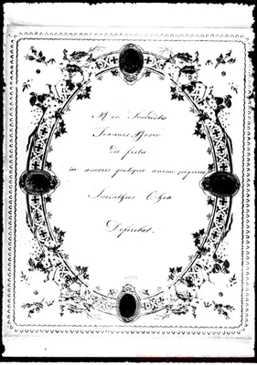 Fotogramma D 8