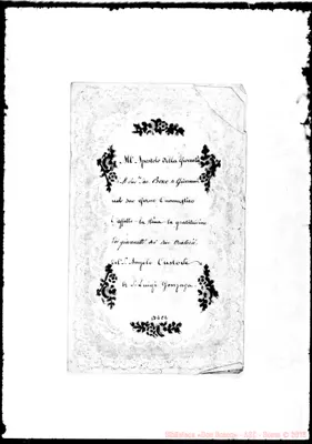 Fotogramma C 2