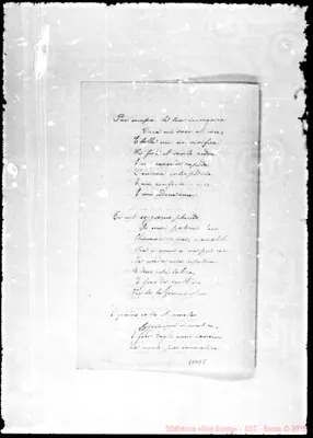 Fotogramma D 5