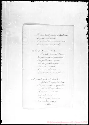 Fotogramma D 6