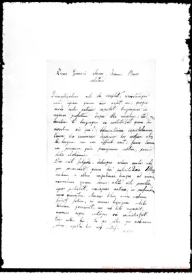 Fotogramma E 6