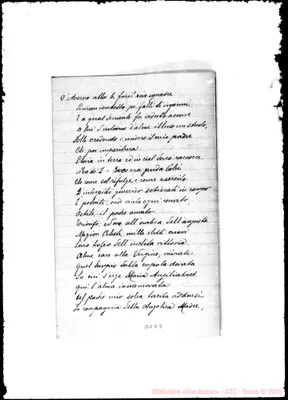 Fotogramma D 3