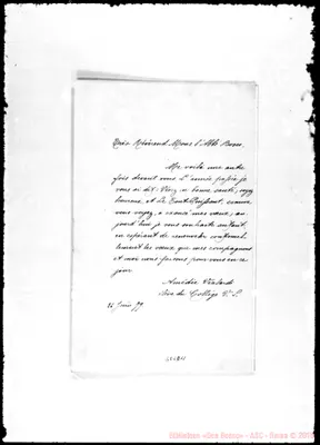 Fotogramma D 11