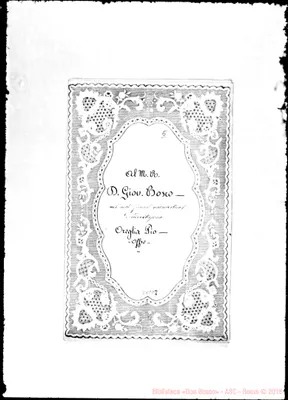 Fotogramma D 8