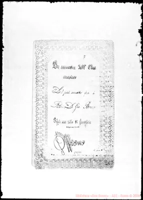 Fotogramma D 11