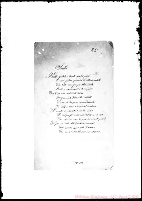 Fotogramma D 3