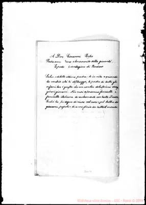 Fotogramma C 8